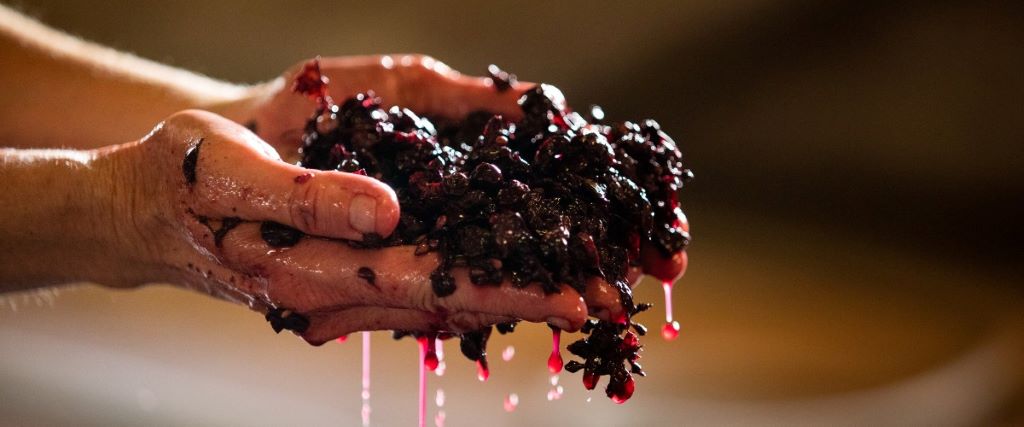 Organic, biodynamic, natural and vegan wines explained