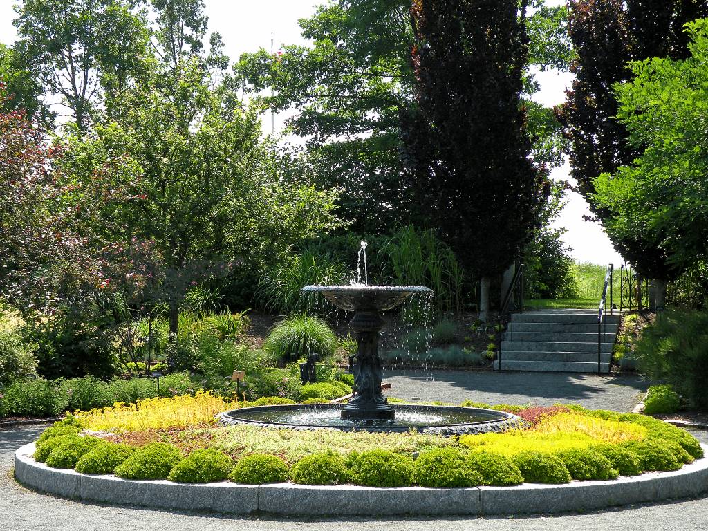 A small trickling fountain adds ambiance to a desert party, framed by colorful native wildflowers like desert marigold